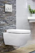 Duravit Darling New 006989 | сиденье с крышкой для унитаза Soft Close (белый)